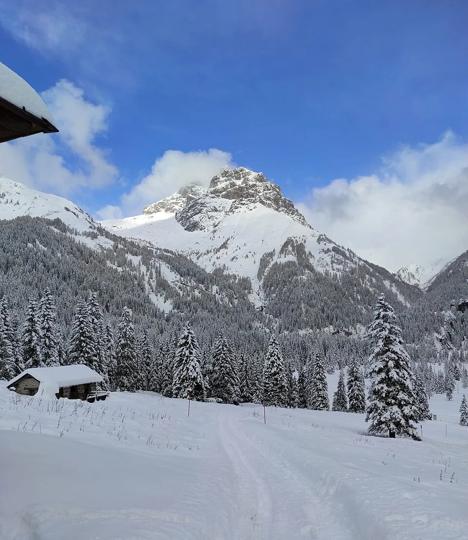 Paesaggio innevato del Giappone, lo yukiguni