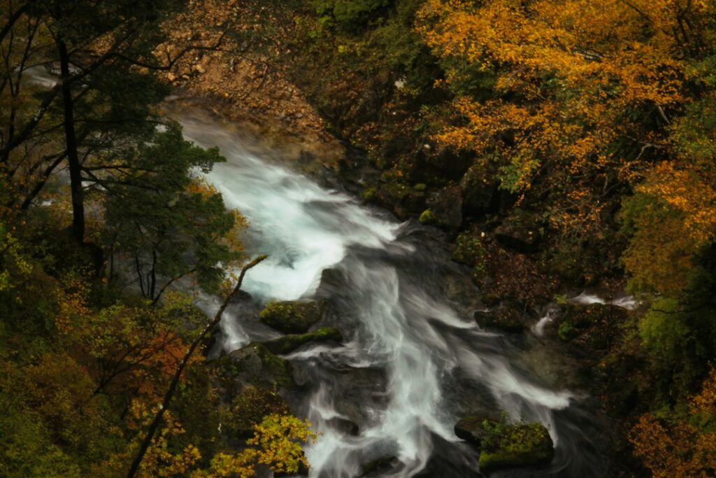 Lago Chūzenji e cascate Kegon: guida al Nikkō naturale