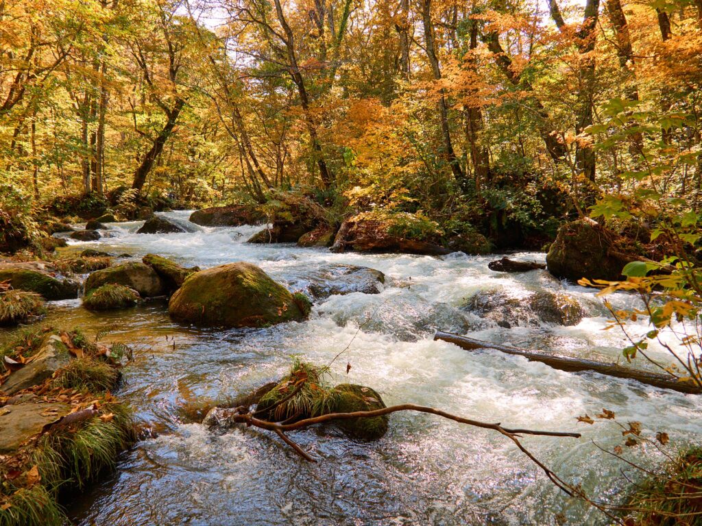 Gola di Oirase e lago Towada: guida tra cascate e foliage