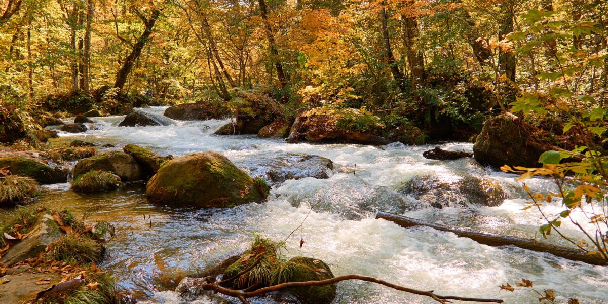 Il torrente attraversa la verde gola di Oirase tra rocce e vegetazione
