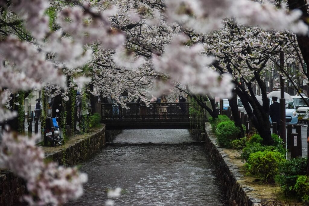 Kakunodate: il quartiere samurai e i ciliegi di Akita