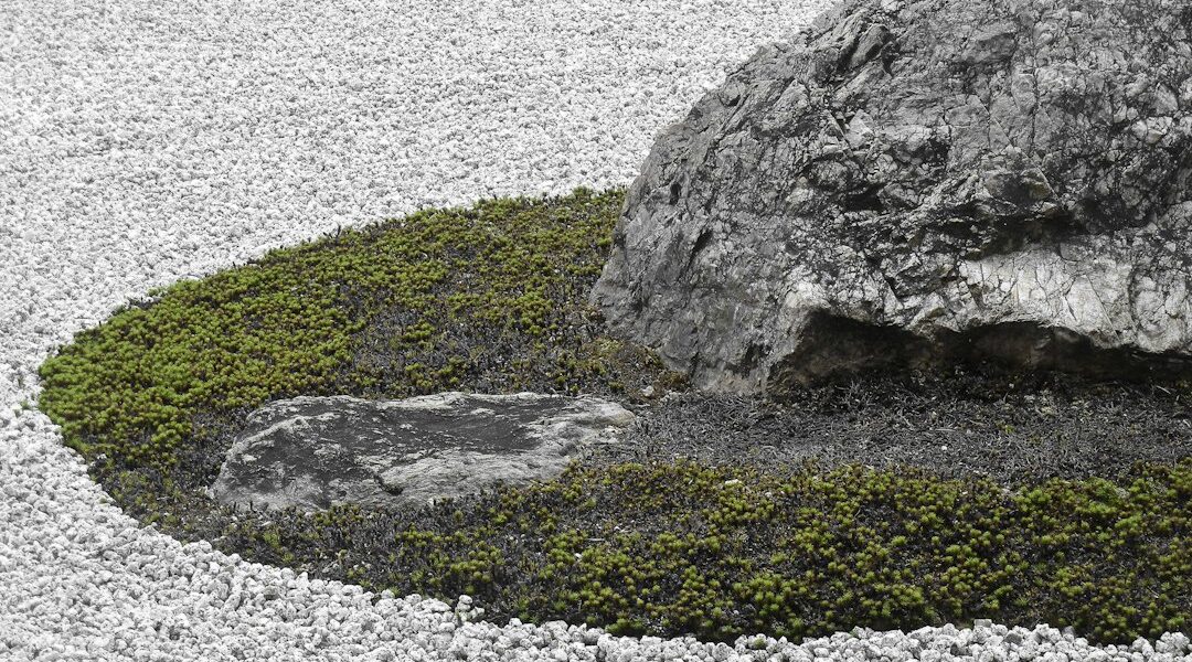 Pietre e ghiaia in un giardino zen giapponese