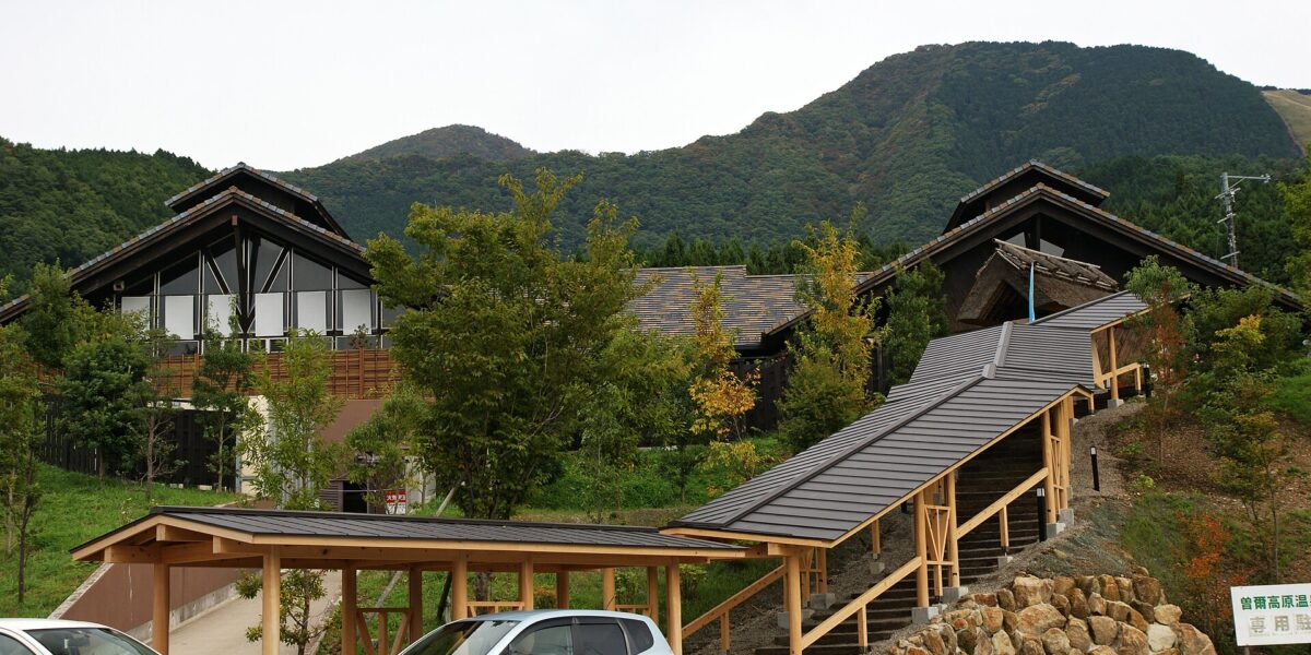 Distese di susuki dorati a Soni Highland nella prefettura di Nara