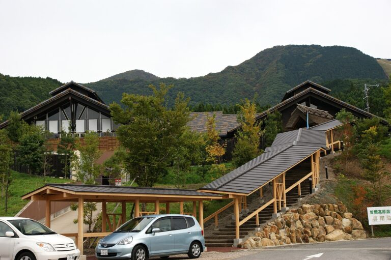 Distese di susuki dorati a Soni Highland nella prefettura di Nara