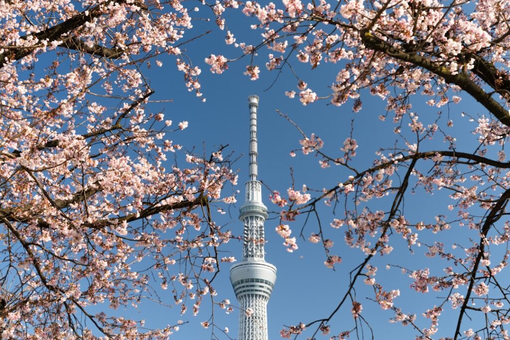 Tokyo Skytree: guida alla torre panoramica di Sumida